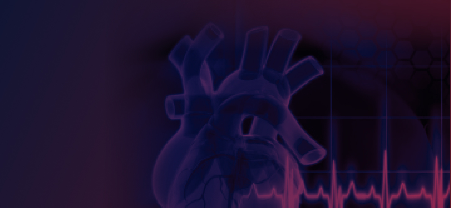 banner-image